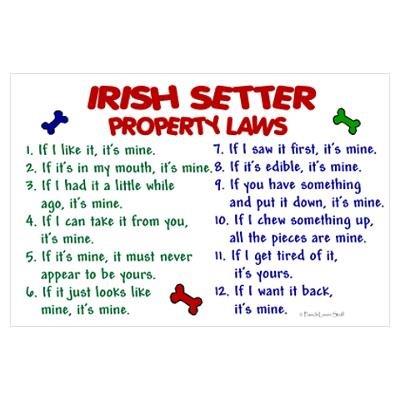Irish Setter Rules.jpg